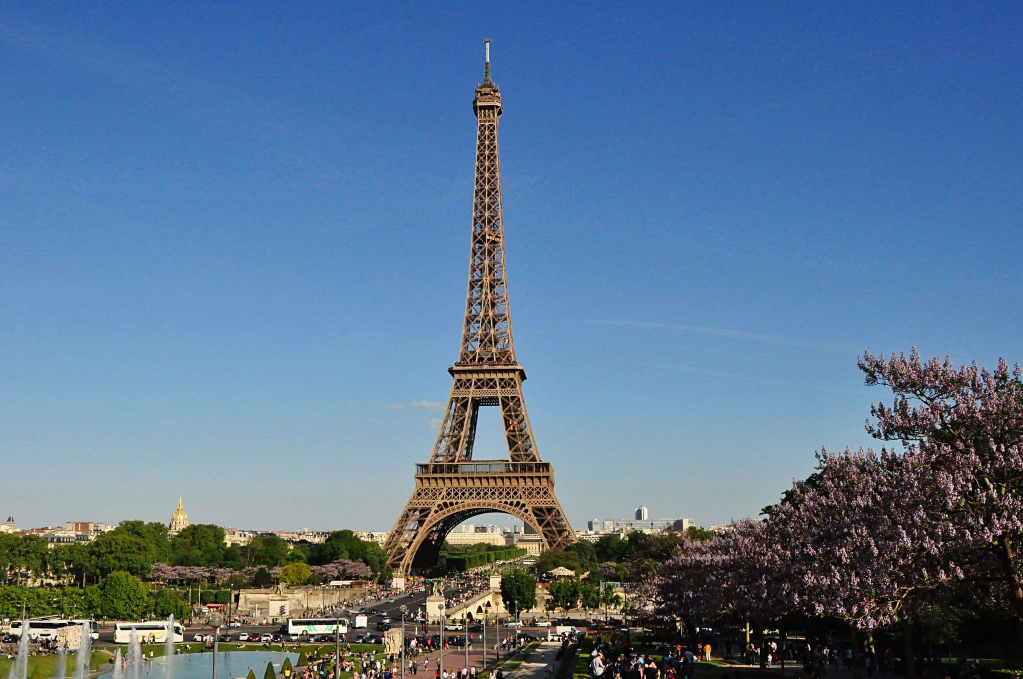 Eiffel Tower in spring