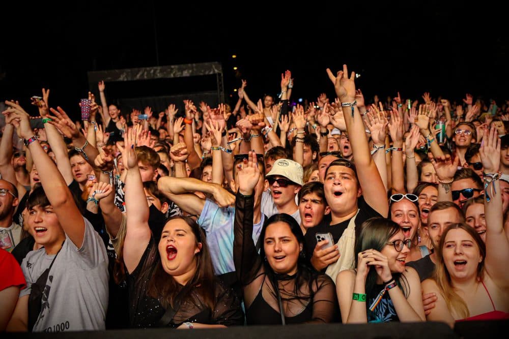 Concert crowd at night